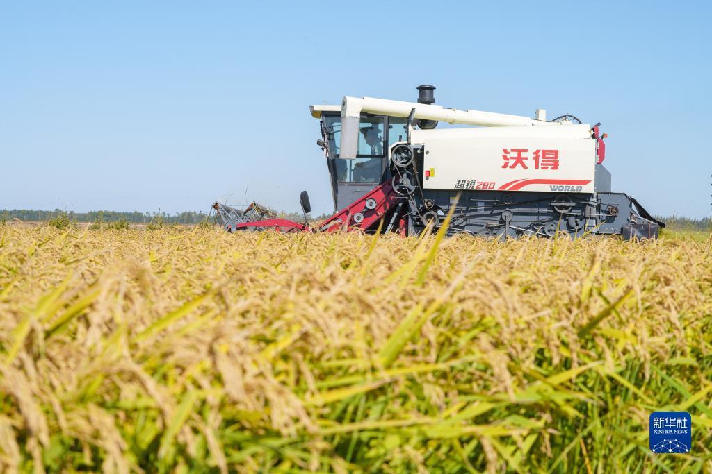 菠菜注册送